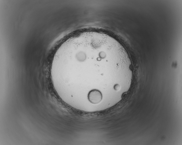 X0000114671159200911181200