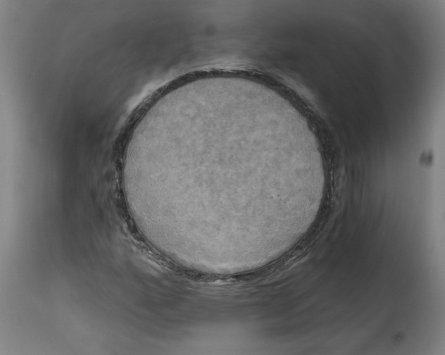 X0000114671160200911181200