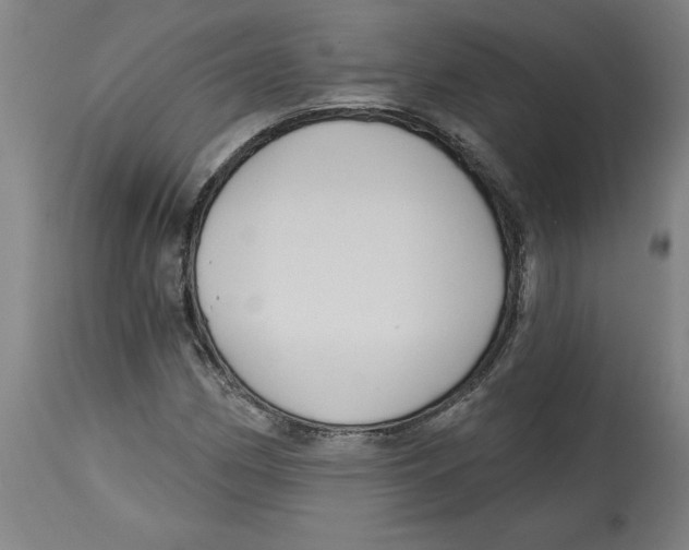 X0000114671162200911181200