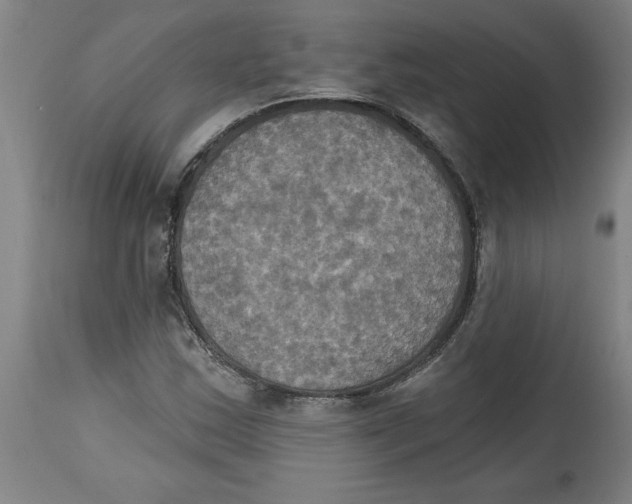 X0000114671163200911181200