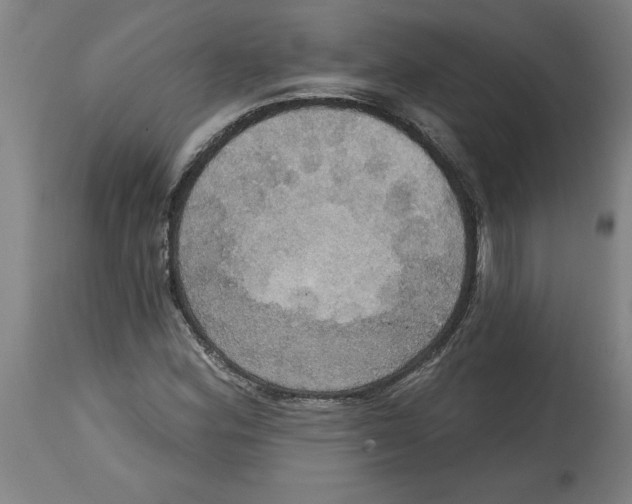 X0000114671164200911181200