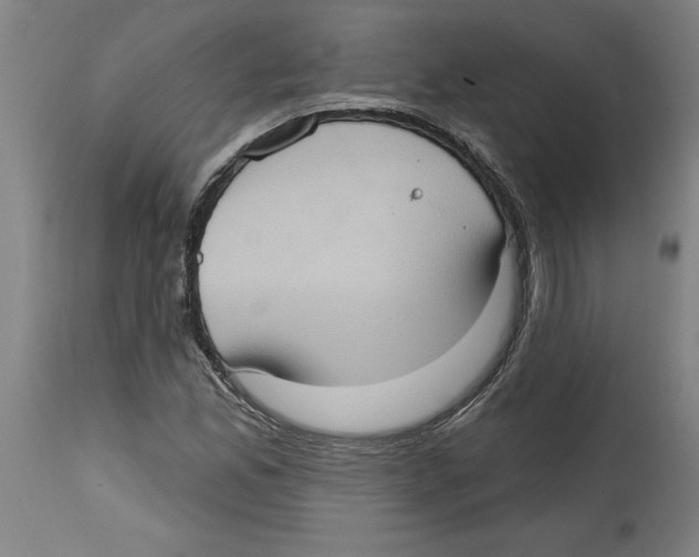 X0000114671165200911181200