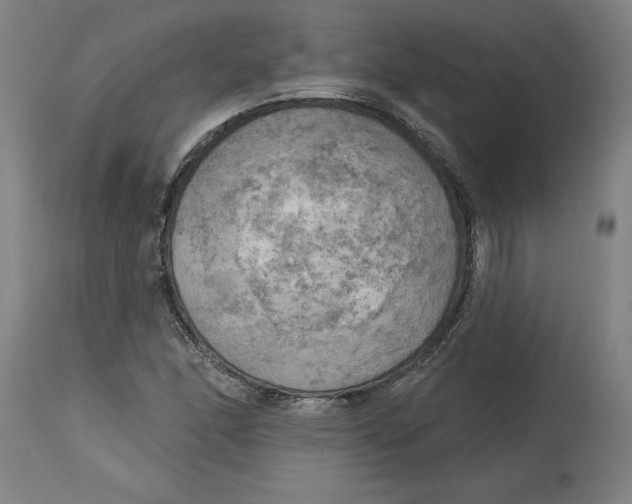 X0000114671166200911181200