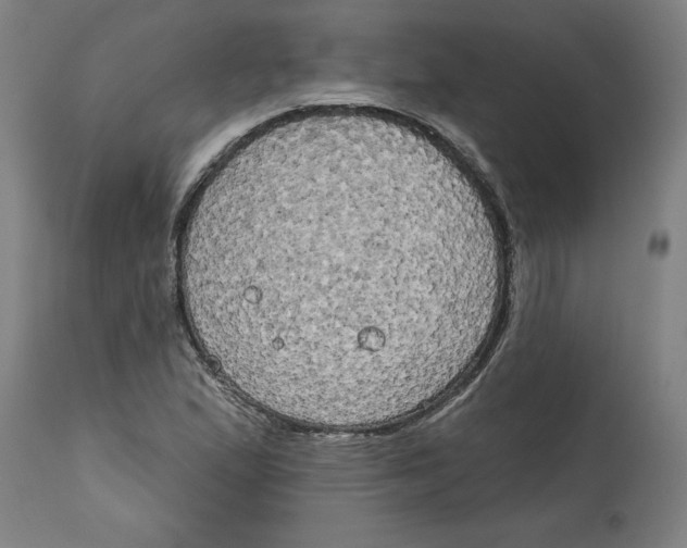 X0000114671167200911181200