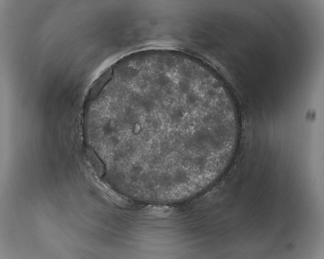 X0000114671168200911181200