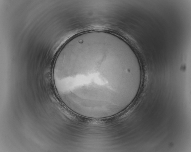 X0000114671170200911181200