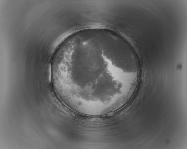 X0000114671171200911181200