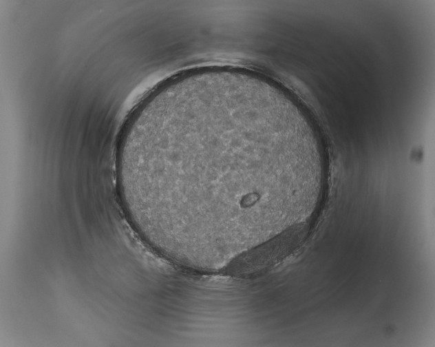 X0000114671172200911181200