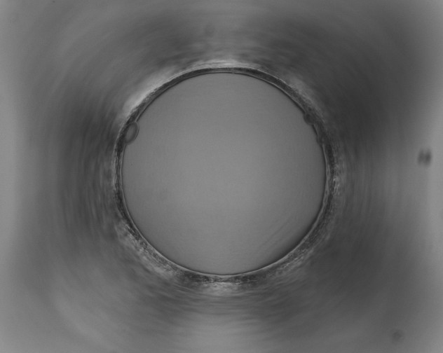 X0000114671173200911181200