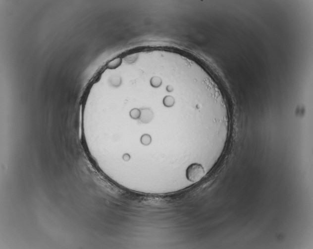 X0000114671175200911181200