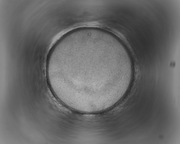 X0000114671176200911181200