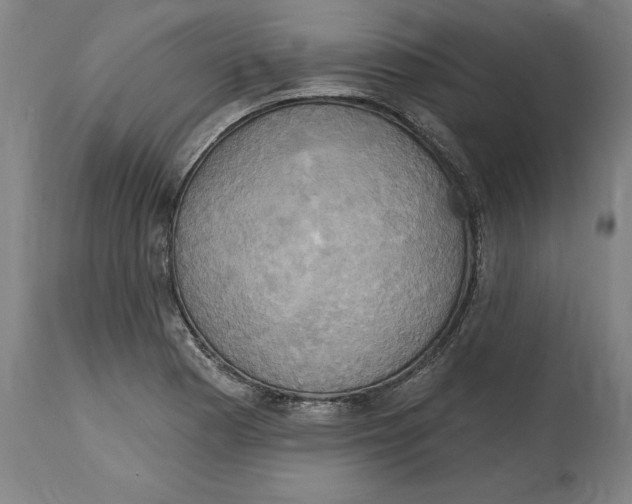 X0000114671177200911181200