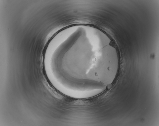 X0000114671179200911181200