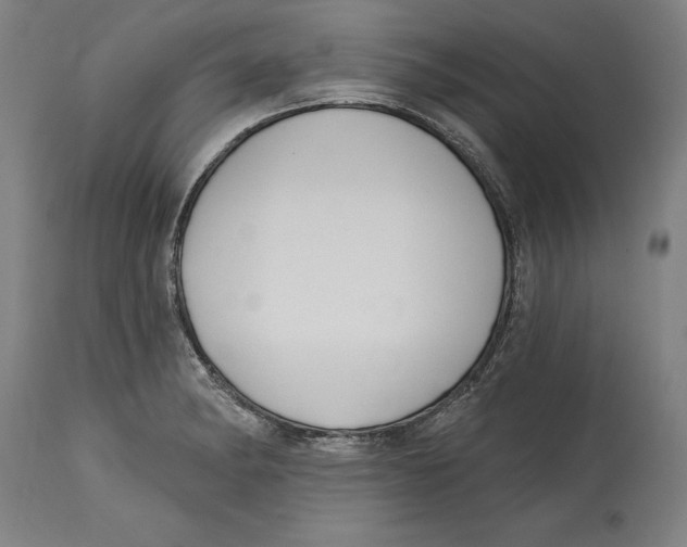 X0000114671182200911181200