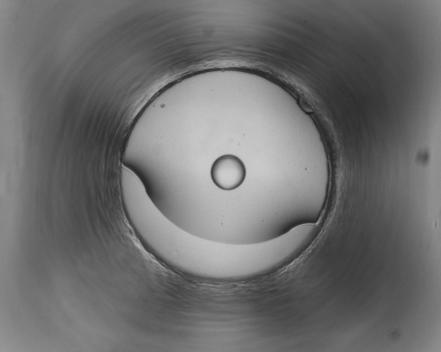 X0000114671185200911181159