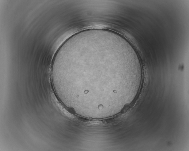 X0000114671186200911181159