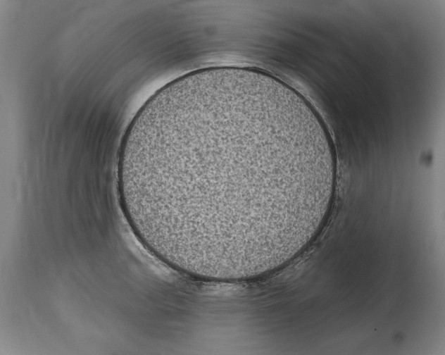 X0000114671187200911181159