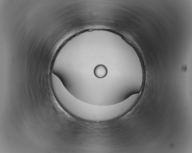 X0000114671189200911181159