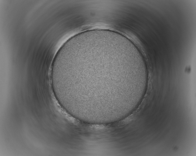 X0000114671190200911181159