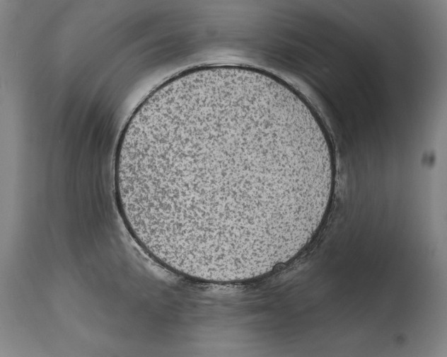 X0000114671191200911181159