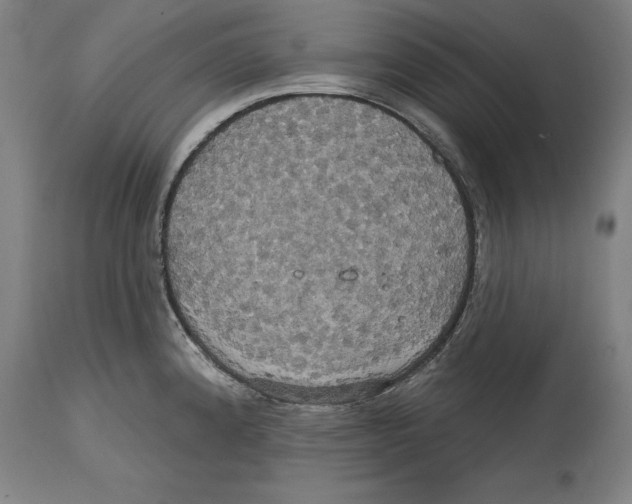 X0000114671192200911181159