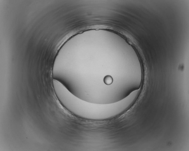 X0000114671193200911181159