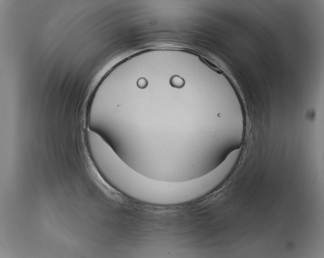 X0000114671195200911181159