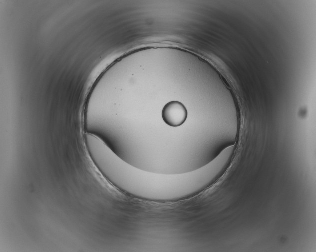 X0000114671196200911181159