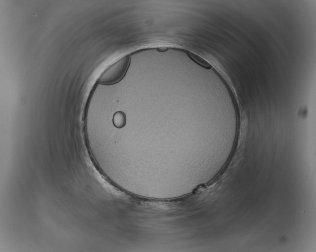 X0000114671197200911181159