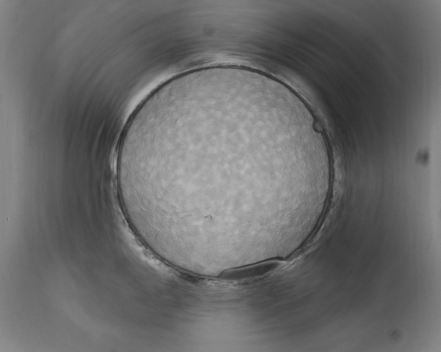 X0000114671198200911181159