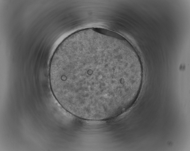 X0000114671200200911181159