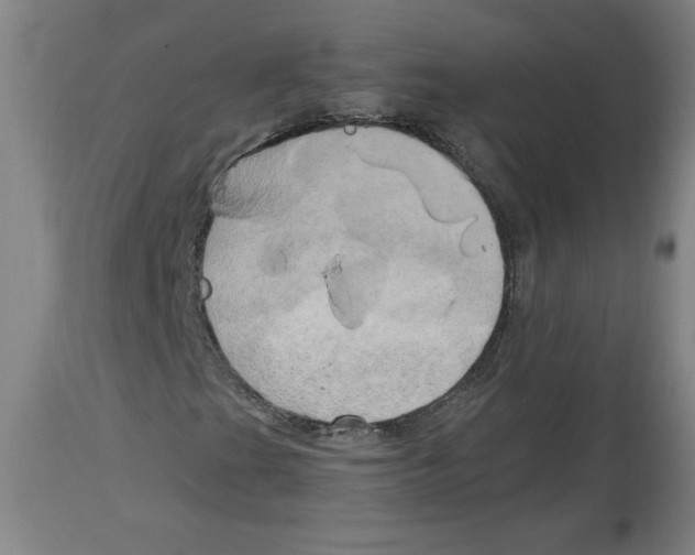 X0000114671201200911181159