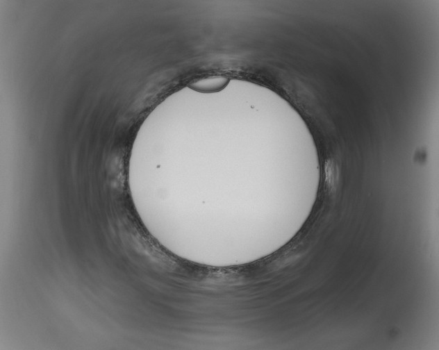 X0000114671203200911181159