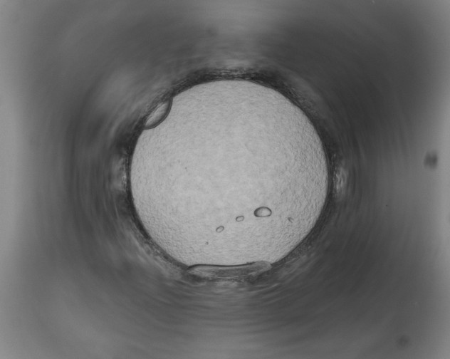 X0000114671204200911181159