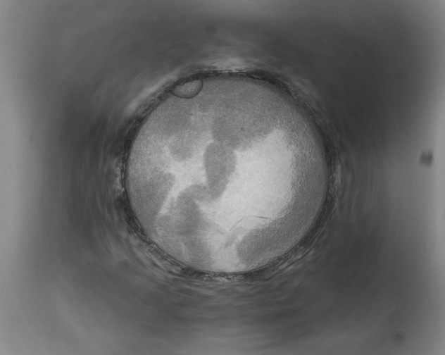 X0000114671205200911181159