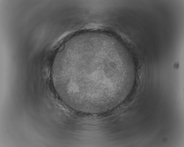 X0000114671206200911181159