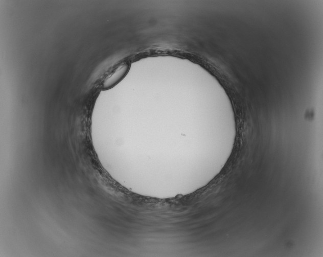 X0000114671207200911181159