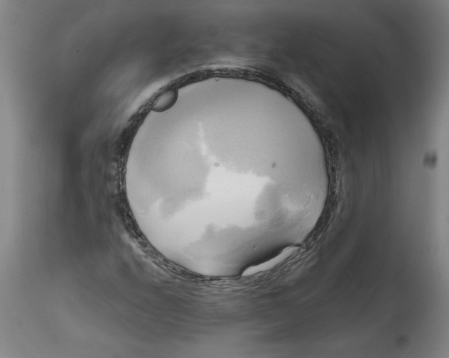 X0000114671208200911181159