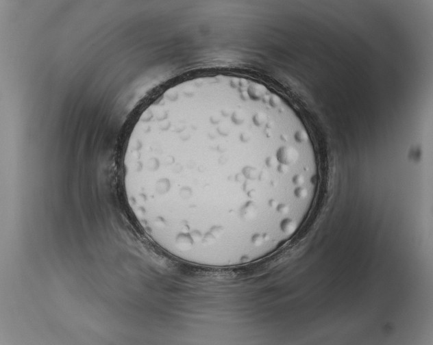 X0000114671210200911181159