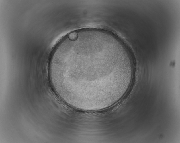 X0000114671214200911181159