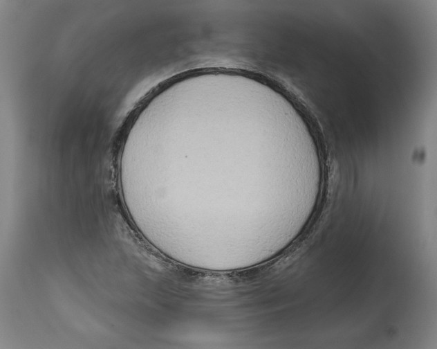 X0000114671215200911181159