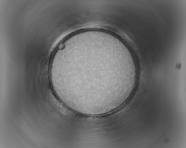 X0000114671216200911181159