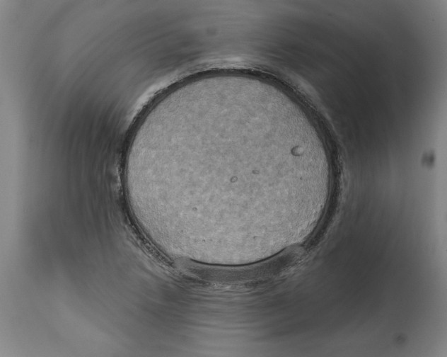 X0000114671218200911181159