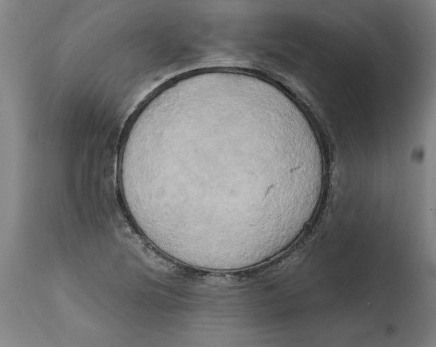 X0000114671220200911181159