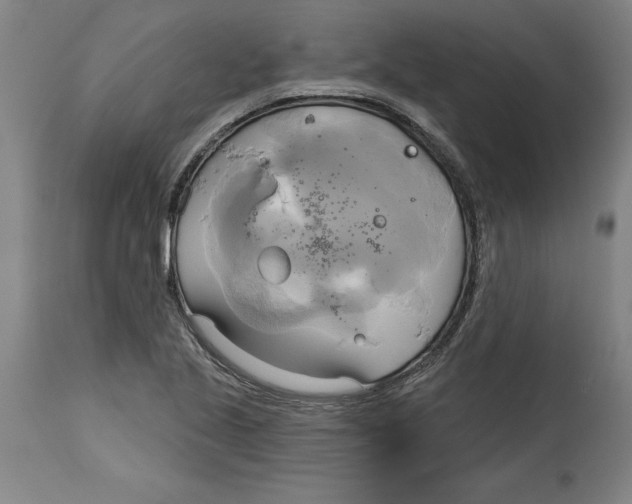 X0000114671221200911181159