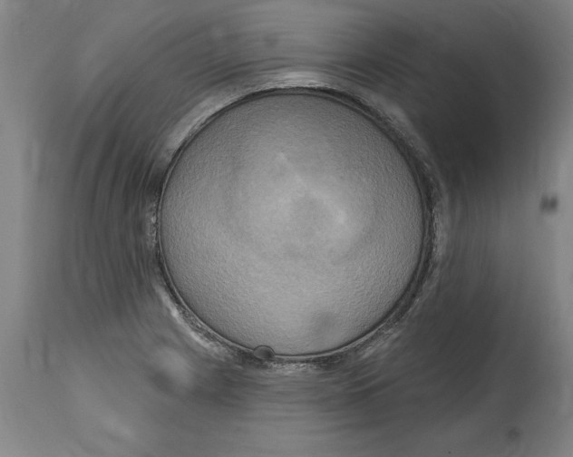 X0000114671225200911181159