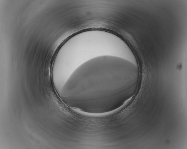 X0000114671226200911181159