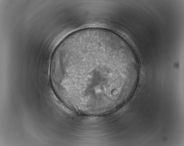 X0000114671228200911181159