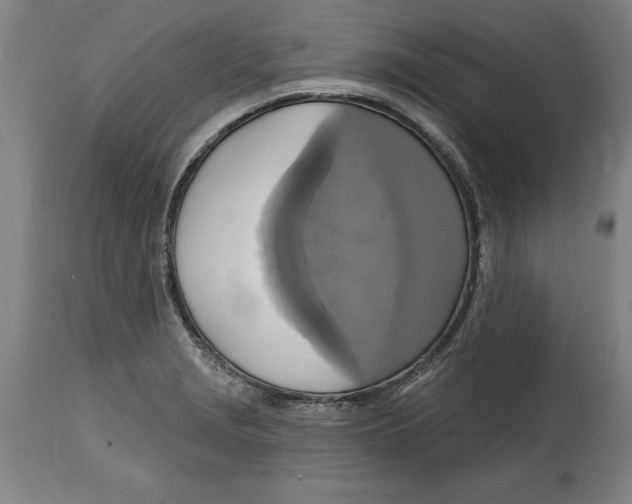 X0000114671229200911181159