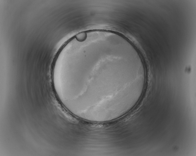 X0000114671230200911181159